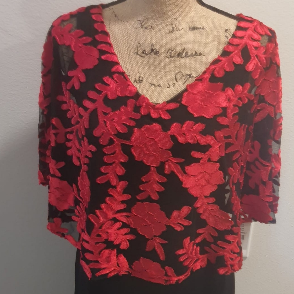 NWT! JM JOHN MEYER RED/BLACK LACE OVERLAY DRESS - Picture 16 of 16